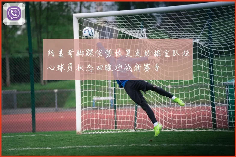 约基奇脚踝伤势恢复良好掘金队核心球员状态回暖迎战新赛季