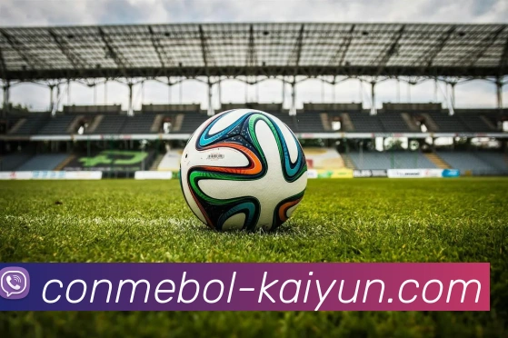 开云官网平台生态图