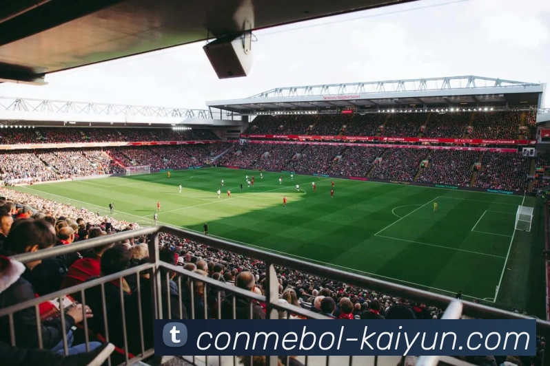 开云官网全站App